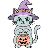 Kürbis-Halloween-Hexenkatze