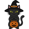 Hexenkatze und Kürbis