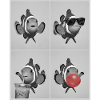 Clownfische Clownfisch