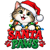 Santa Paws – Katze mit Weihnachtsmütze