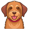  Hellbrauner Zottelhund