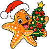 Weihnachts Seestern