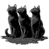 Katzen 