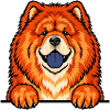 Chow Chow