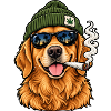 Hund mit Sonnenbrille und Hanf-Beanie
