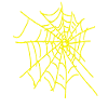 gelbes spinnennetz 