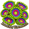 Zoanthus-Wassermelone