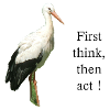 Storch First think, then act!