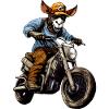 Motorrad Esel