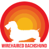 Dachshund Rauhaardackel