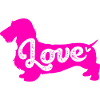 Dachshund Rauhaardackel