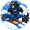 Bären Skifahrer / Ski Bär