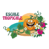 Paradise Tropical Pumpkin Exotische Blumen