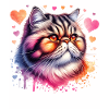 Exotische Kurzhaarkatze