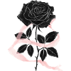 Schwarze Rose und rosa Band