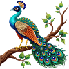 Einfacher Pfau auf Ast