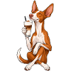 Podenco Ibicenco mit Latte Macchiato