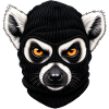 Katta mit Sturmhaube – Frecher Lemur