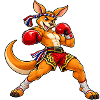 Muay Thai Känguru