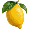 Zitrusfrüchte aus Amalfi