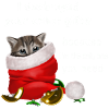 I destroyed your other gifts - Kätzchen