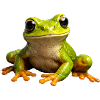 Froschgrüner PopArt Frosch