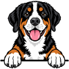 Grosser Schweizer Sennenhund