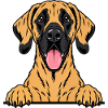 Deutsche Dogge