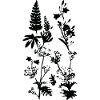 WIESENPFLANZEN