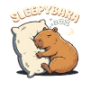 Sleepybara Capybara Umarmt Kissen Schlafmütze