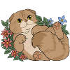 Florales Scottish Fold-Kätzchen