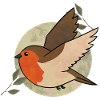 Aquarell Robin auf Kreis