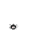 Spinne "Igitte"