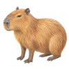 Capybara-Tierzeichnung mit Buntstiften