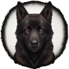 schwarz brauner schäferhund