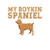 Boykin Spaniel