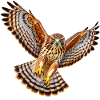Bussard