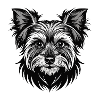 Yorkshire Terrier Hundekopf