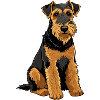 Airedale Terrier-Hund