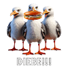 Möven Fischbrötchen Diebe