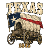 Texas Wagon 1845 Flagge