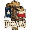 Texas 1845 - Cowboy Boot Flagge