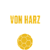 Allergiehinweis Handball – Spuren von Harz