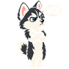 Nö! – Sturer Husky mit Haltung