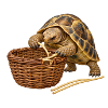 Schildkröte repariert einen Korb