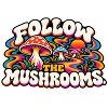 Follow the Mushrooms – Psychedelischer Pilztraum