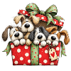 🎁 Weihnachtswelpen
