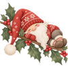Schlafender Weihnachtswichtel auf Stechpalme 