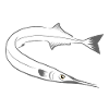 Hornhecht Flüsterer
