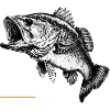 Schwarzbarsch Flüsterer